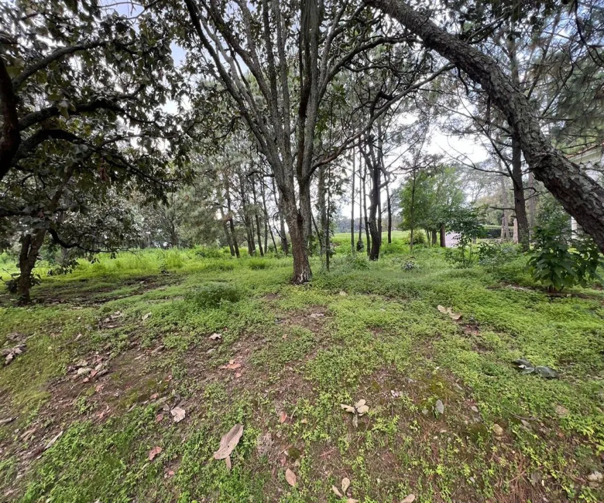Terreno En Venta,Country Club,Bosque de los lagos lote 20 1, Guadalajara, Jalisco 45640,Bosque de los lagos,pQLwREf