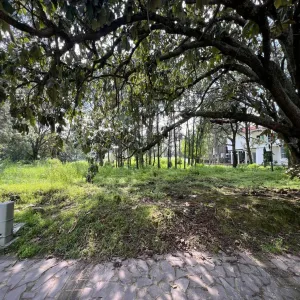 Terreno En Venta,Country Club,Bosque de los lagos lote 20 1, Guadalajara, Jalisco 45640,Bosque de los lagos,pQLwREf