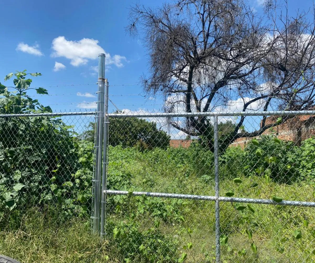 Terreno En Venta,Mascota,Domingo Márquez S/N, Ocotlán, Jalisco 47860,Domingo Márquez,pqGbnS4