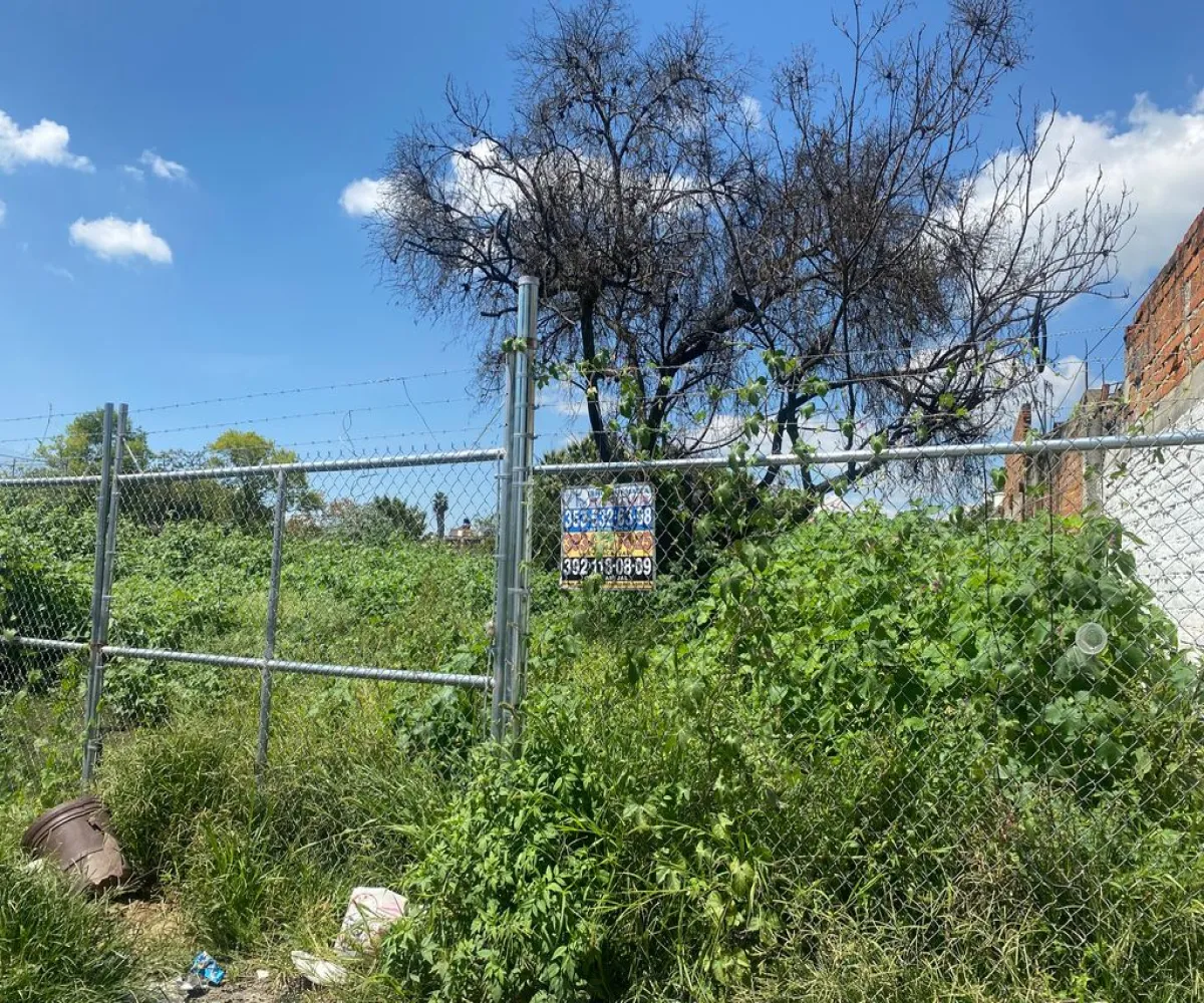 Terreno En Venta,Mascota,Domingo Márquez S/N, Ocotlán, Jalisco 47860,Domingo Márquez,pqGbnS4