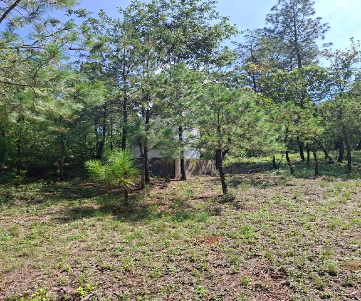 Casa En Venta,Lomas de la Cañada,Carretera La Frontera – Atemajac Km 50 S/N L 12 M B, Tapalpa, Jalisco 49340, 2 Habitaciones,2 Baños,Carretera La Frontera – Atemajac Km 50,1,p8wsCLL