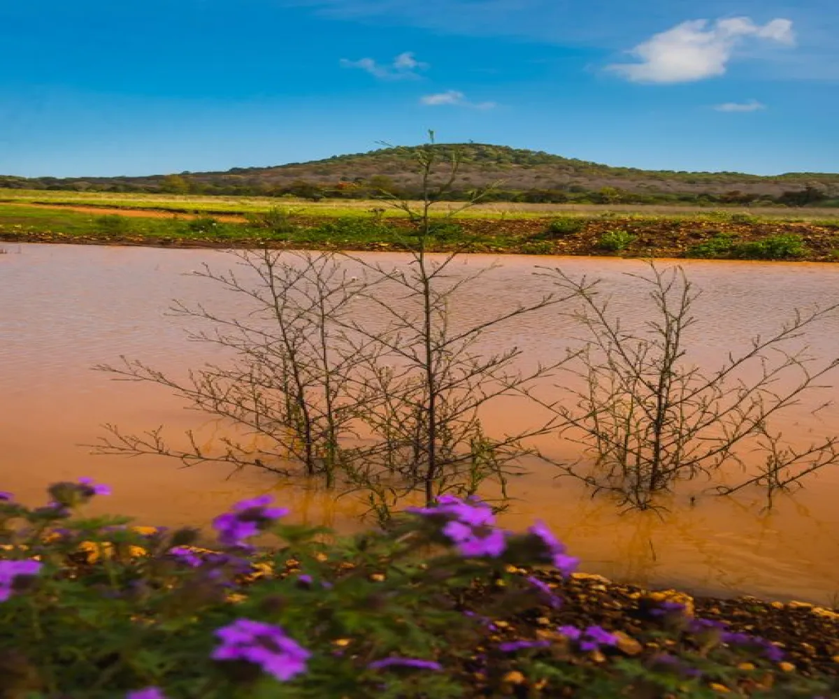 Terreno En Venta,Punta Campestre,Callejón Los Capulines 50, Atemajac de Brizuela, Jalisco 45790,Callejón Los Capulines,pHFBF6u