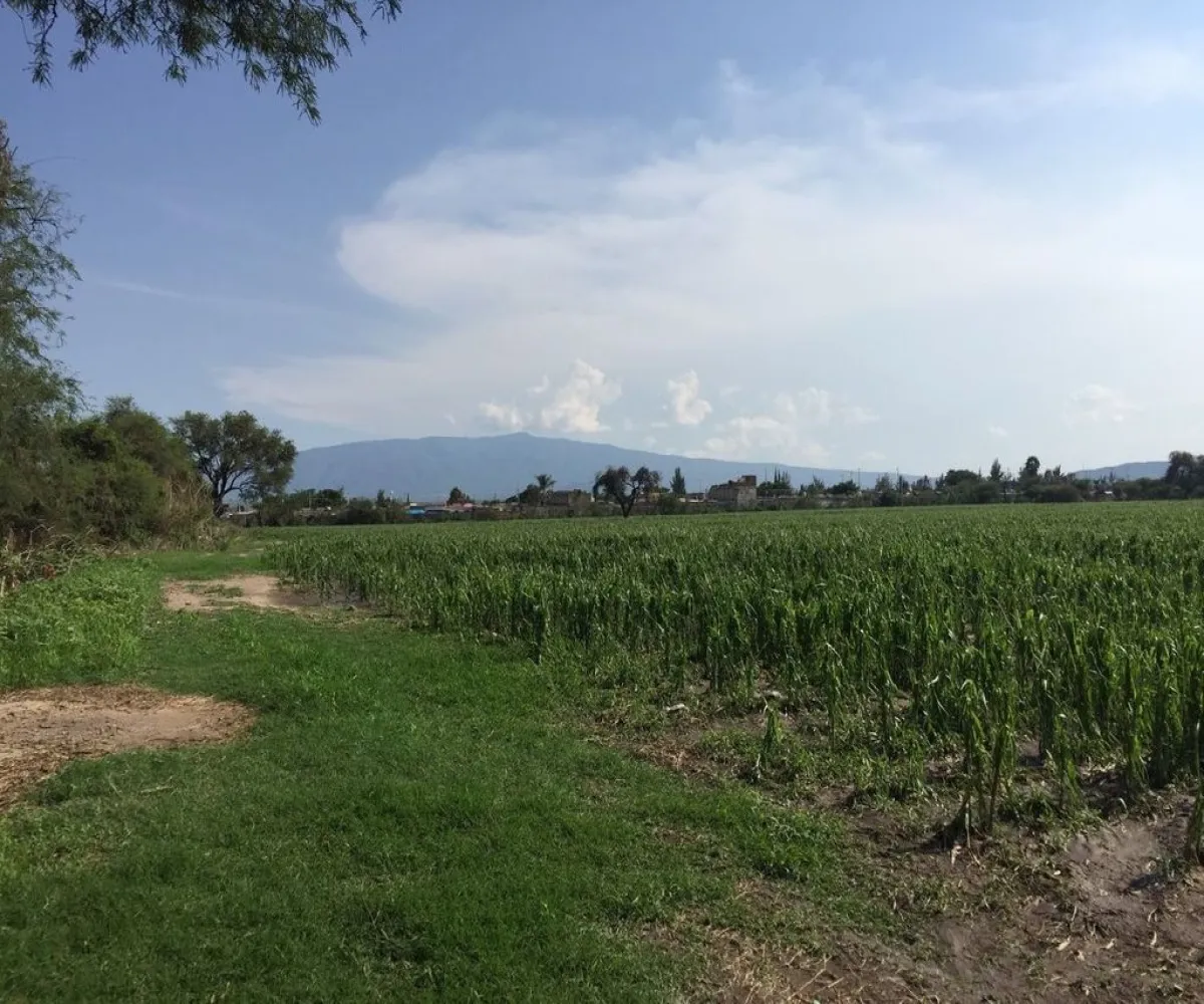 Terreno En Venta,Concepción Del Valle,Concepción del Valle S/N, Tlajomulco de Zúñiga, Jalisco 45653,Concepción del Valle,pIEQriD