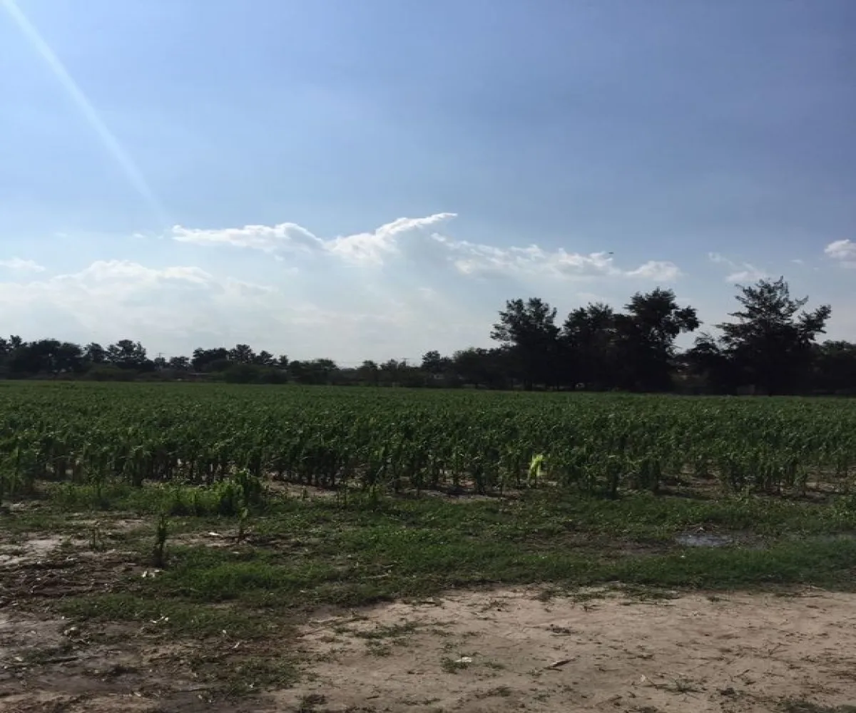 Terreno En Venta,Concepción Del Valle,Concepción del Valle S/N, Tlajomulco de Zúñiga, Jalisco 45653,Concepción del Valle,pIEQriD