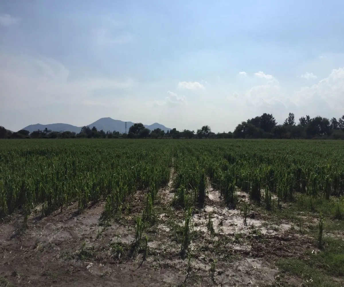 Terreno En Venta,Concepción Del Valle,Concepción del Valle S/N, Tlajomulco de Zúñiga, Jalisco 45653,Concepción del Valle,pIEQriD