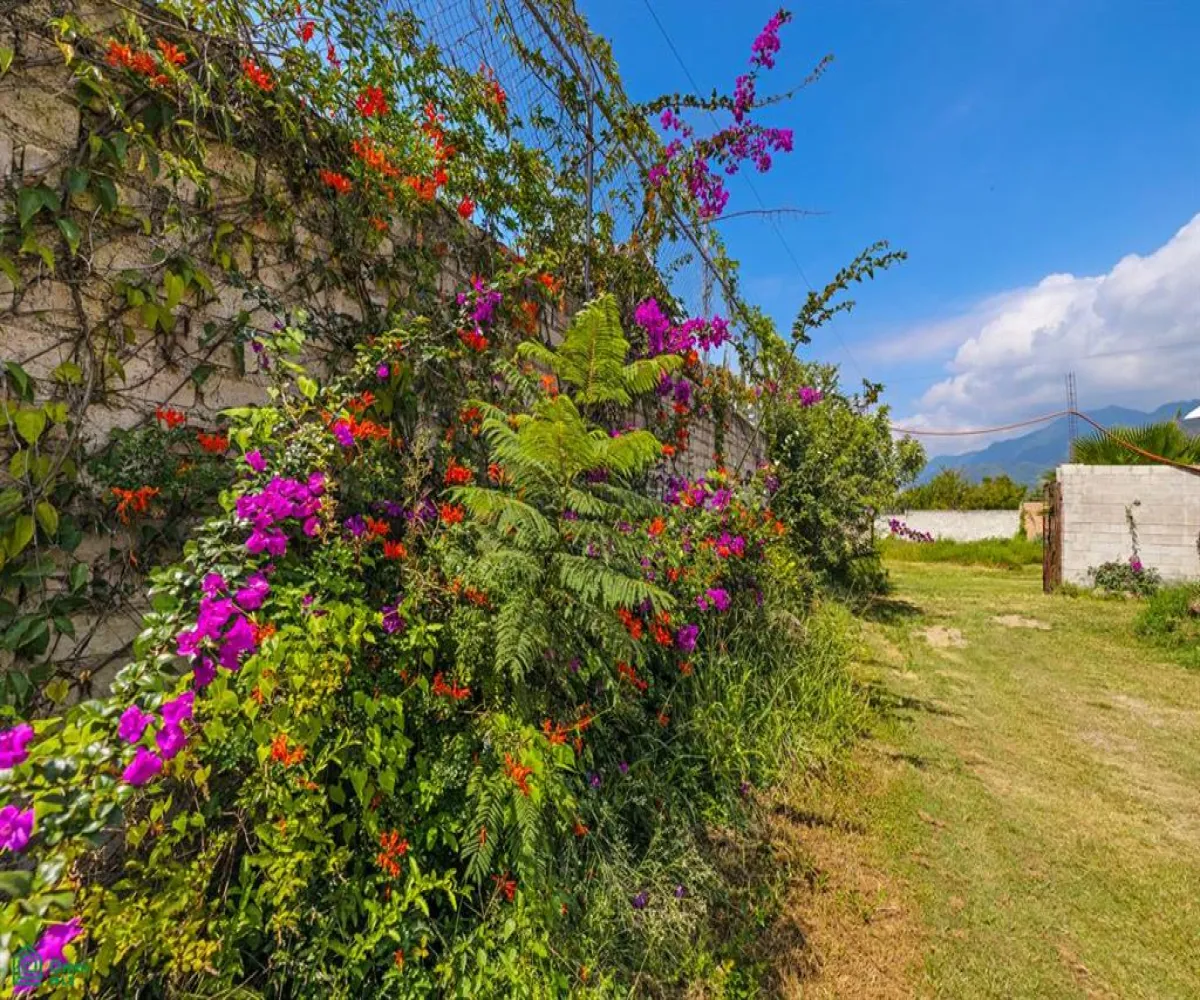 Terreno En Venta,Ribera del Pilar,Calle San Lucas, Riberas del Pilar, Chapala, Jalis Fracción D y E, Chapala, Jalisco 45906,Calle San Lucas, Riberas del Pilar, Chapala, Jalis,MX251018342