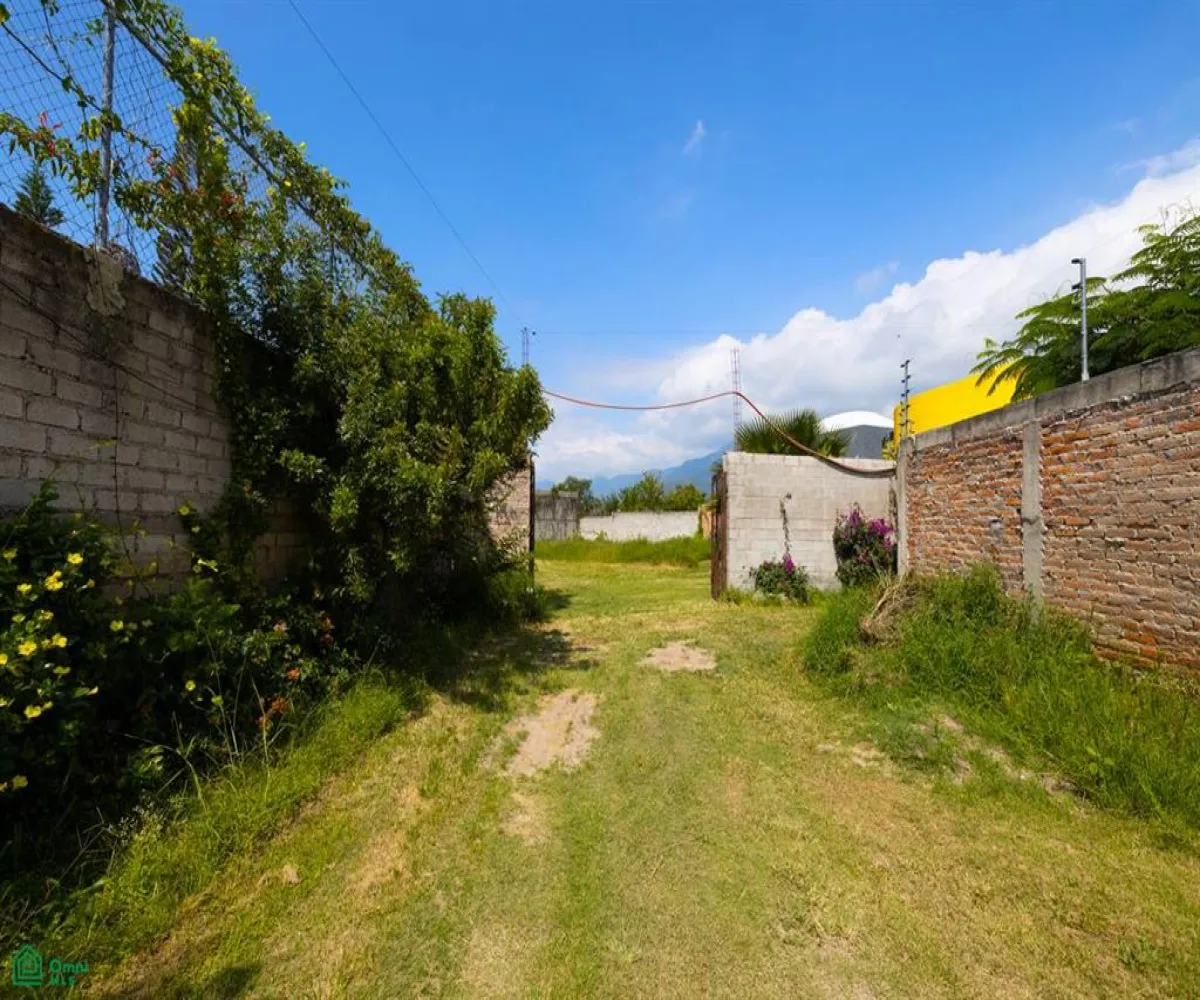 Terreno En Venta,Ribera del Pilar,Calle San Lucas, Riberas del Pilar, Chapala, Jalis Fracción D y E, Chapala, Jalisco 45906,Calle San Lucas, Riberas del Pilar, Chapala, Jalis,MX251018342