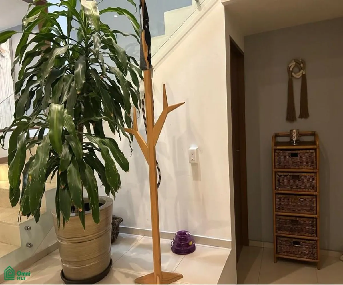 Casa En Venta,Solares Residencial,Paseo la Luna 300, Zapopan, Jalisco 45019, 4 Habitaciones,4 Baños,Paseo la Luna,2,MX251022035