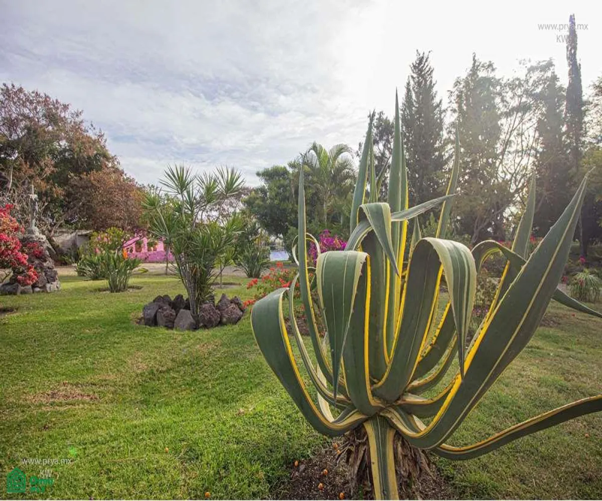 Terreno En Venta,San Antonio Tlayacapan,libramiento chapala ajijic 2000, Chapala, Jalisco 45920,libramiento chapala ajijic,MX23203273