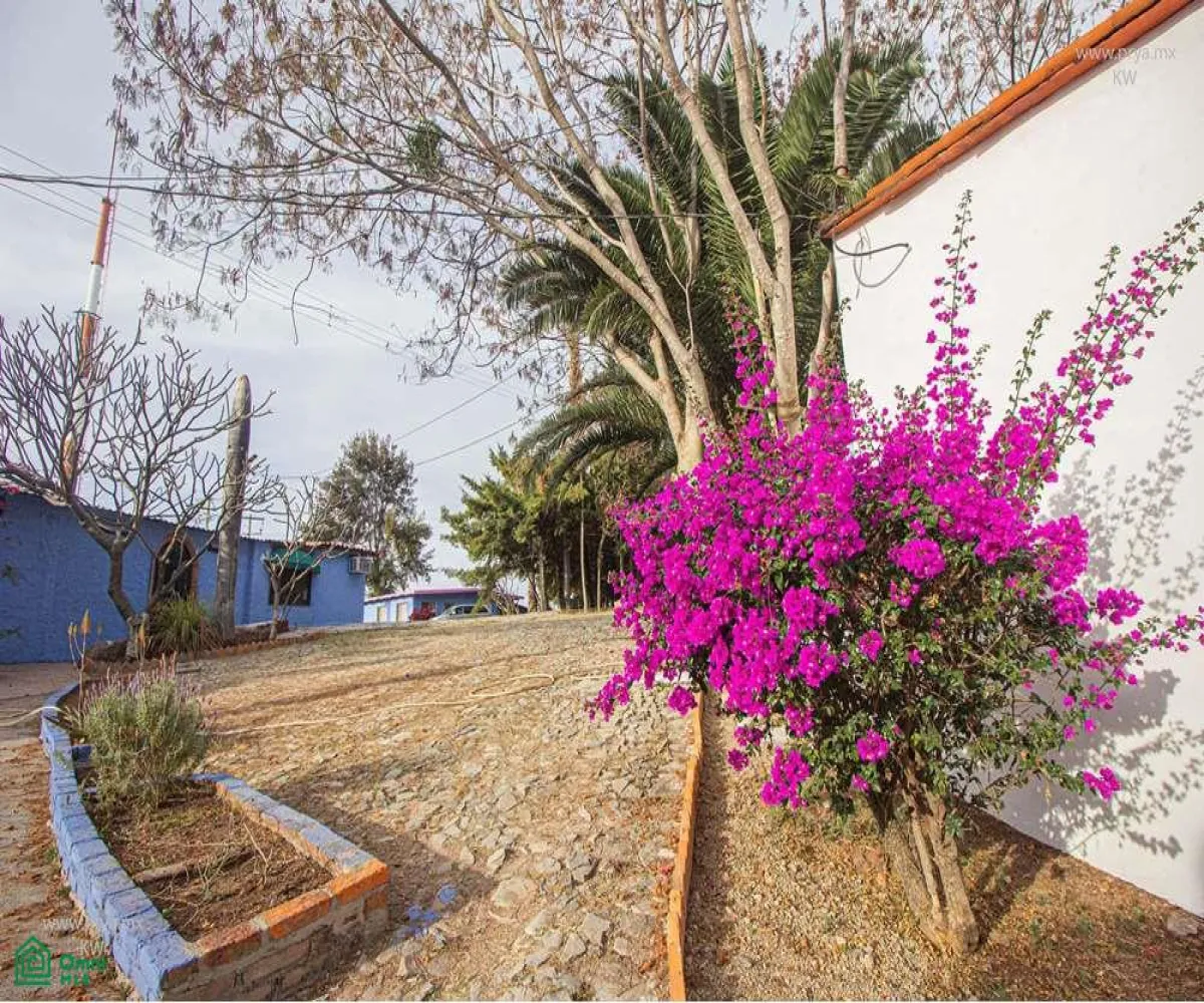 Terreno En Venta,San Antonio Tlayacapan,libramiento chapala ajijic 2000, Chapala, Jalisco 45920,libramiento chapala ajijic,MX23203273