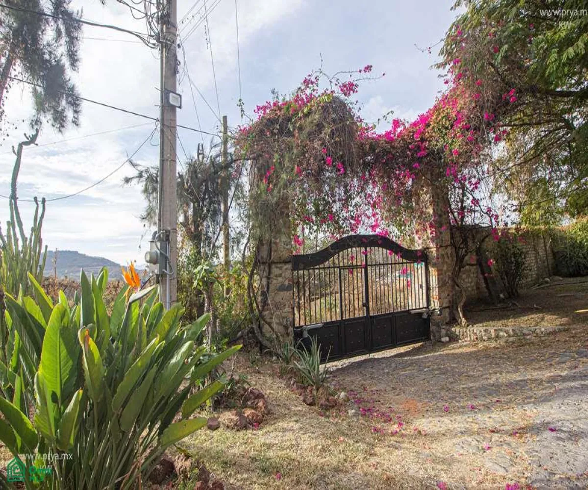 Terreno En Venta,San Antonio Tlayacapan,libramiento chapala ajijic 2000, Chapala, Jalisco 45920,libramiento chapala ajijic,MX23203273