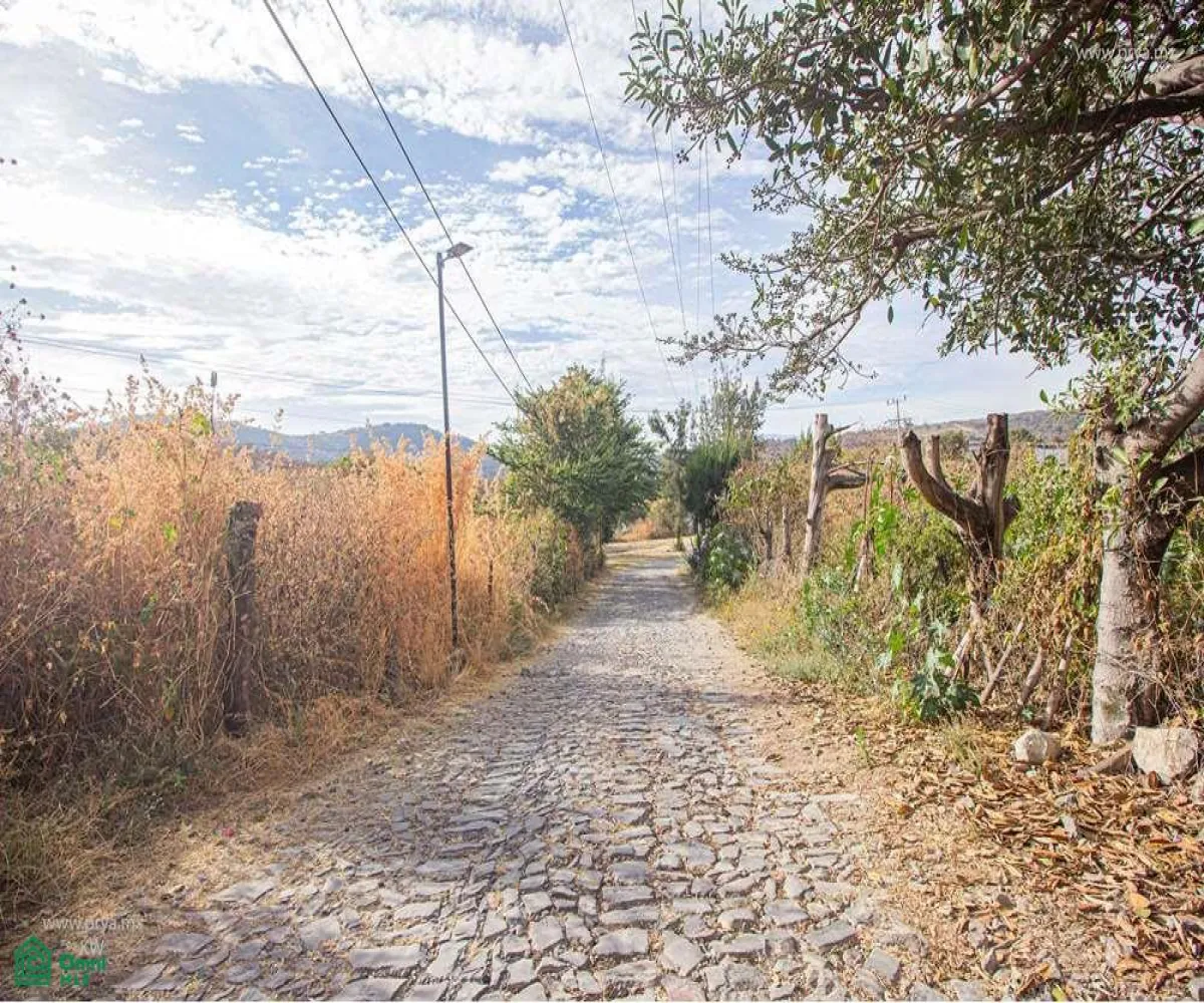 Terreno En Venta,San Antonio Tlayacapan,libramiento chapala ajijic 2000, Chapala, Jalisco 45920,libramiento chapala ajijic,MX23203273