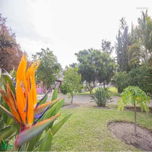 Terreno En Venta,San Antonio Tlayacapan,libramiento chapala ajijic 2000, Chapala, Jalisco 45920,libramiento chapala ajijic,MX23203273