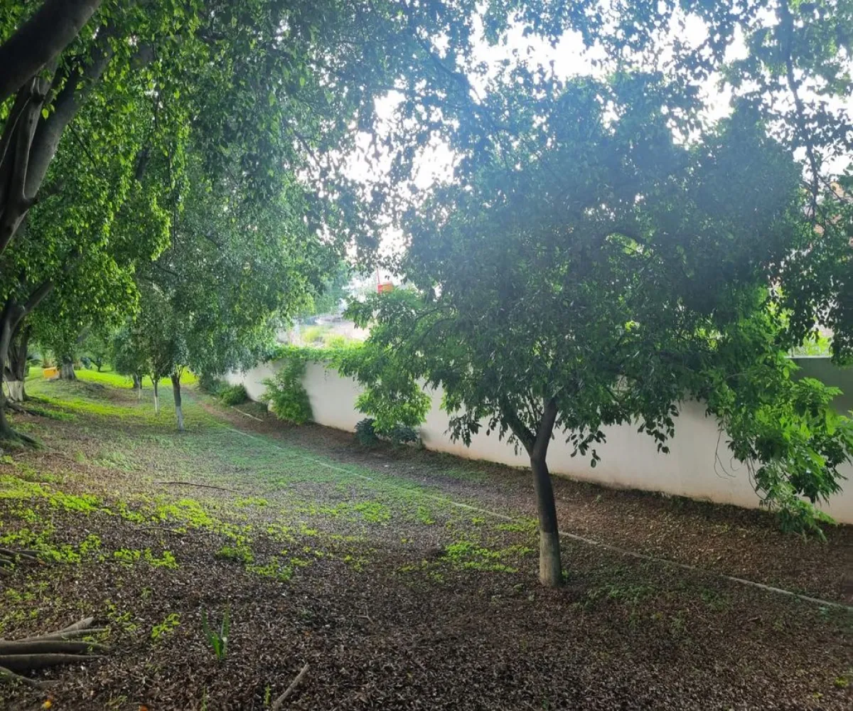 Casa En Venta,La Grana 170 20, Zapopan, Jalisco 45189, 3 Habitaciones,2 Baños,La Grana,1,pjOnLbS