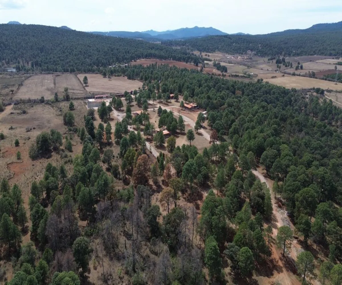 Terreno En Venta,ATEMAJAC DE BRIZUELA S/N, Atemajac de Brizuela, Jalisco 45790,ATEMAJAC DE BRIZUELA ,pVwNTtt