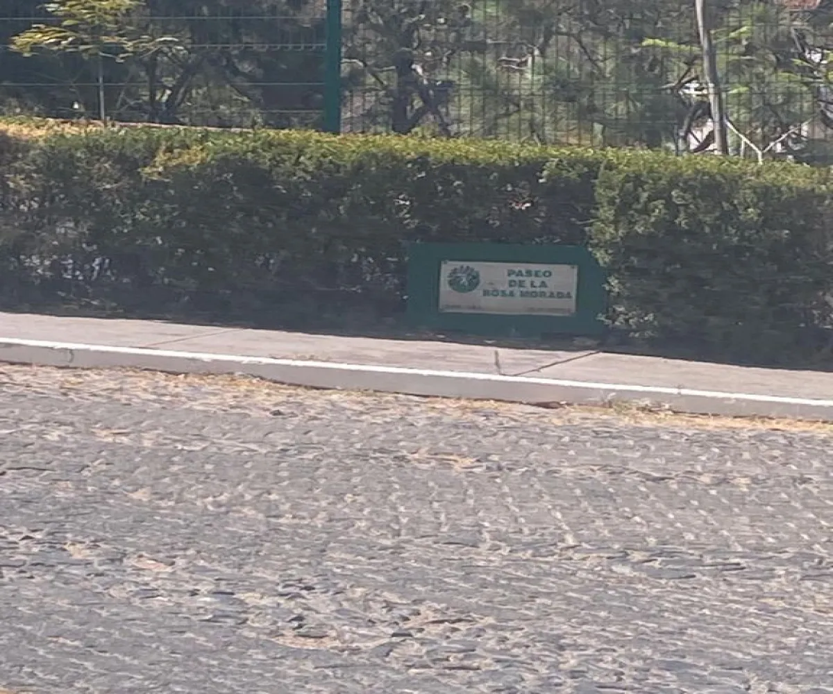 Terreno En Venta,Pinar de la Venta,Paseo del Pinar 2, Zapopan, Jalisco 45221,Paseo del Pinar,pRnc8Tm