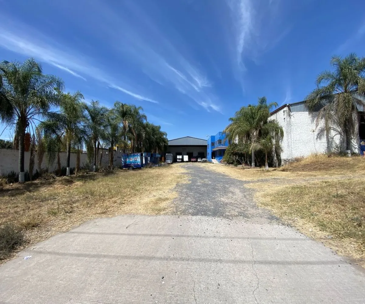 Bodega En Renta,Lomas del Cuatro,Prolongación Gobernador Curiel 904, San Pedro Tlaquepaque, Jalisco 45599,1 Baño,Prolongación Gobernador Curiel,1,pbD5hhp