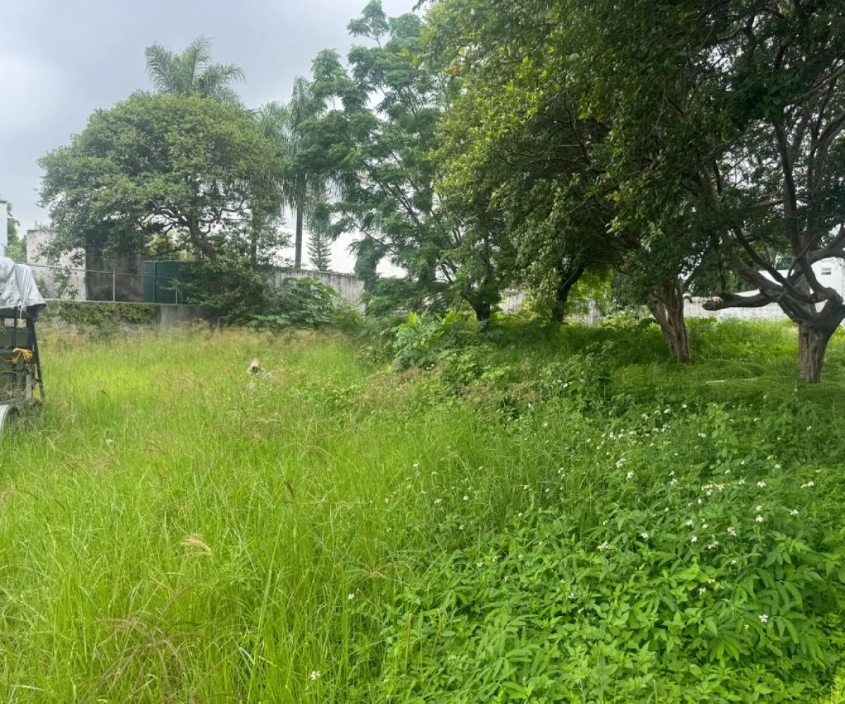 Terreno En Venta,Colinas de San Javier,pablo nurda 3929, Zapopan, Jalisco 45129,pablo nurda,pfnYhnr