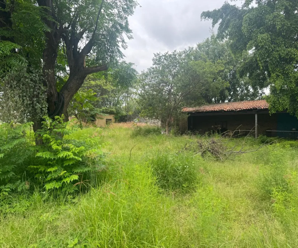 Terreno En Venta,Colinas de San Javier,pablo nurda 3929, Zapopan, Jalisco 45129,pablo nurda,pfnYhnr