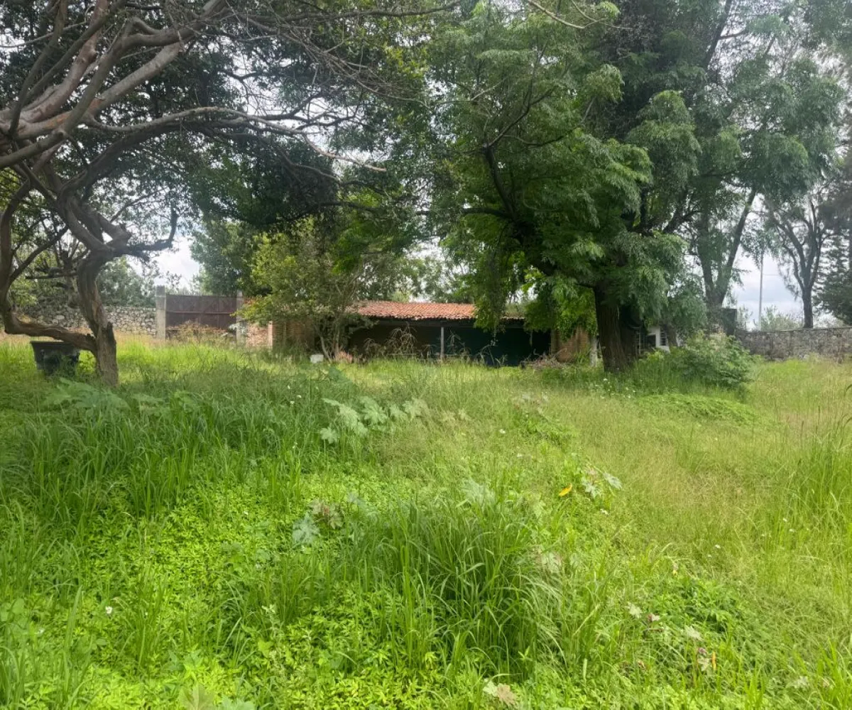 Terreno En Venta,Colinas de San Javier,pablo nurda 3929, Zapopan, Jalisco 45129,pablo nurda,pfnYhnr