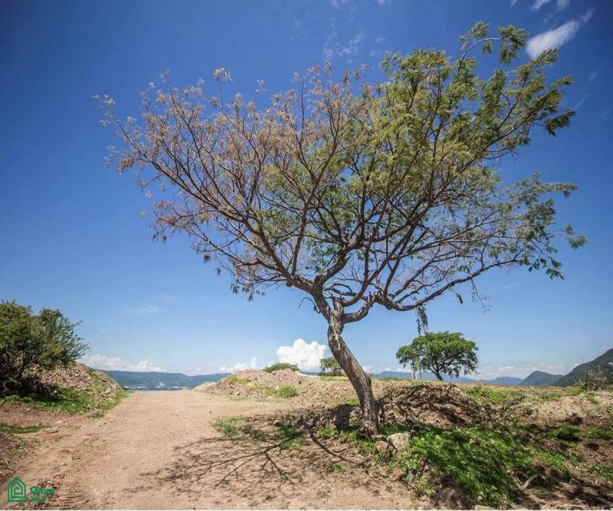 Terreno En Venta,Ajijic,jack kramer 51, Chapala, Jalisco 45820,jack kramer,MX23197826