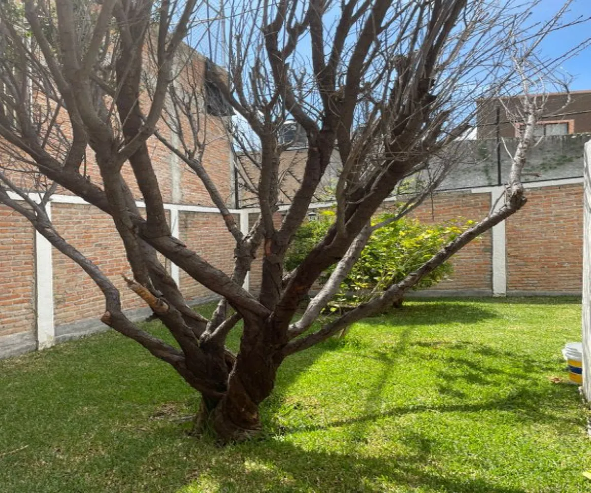 Casa En Venta,Alcaldes,Don Pedro de Marfil 17, Lagos de Moreno, Jalisco 47474, 3 Habitaciones,3 Baños,Don Pedro de Marfil,1,pO9k0Sd