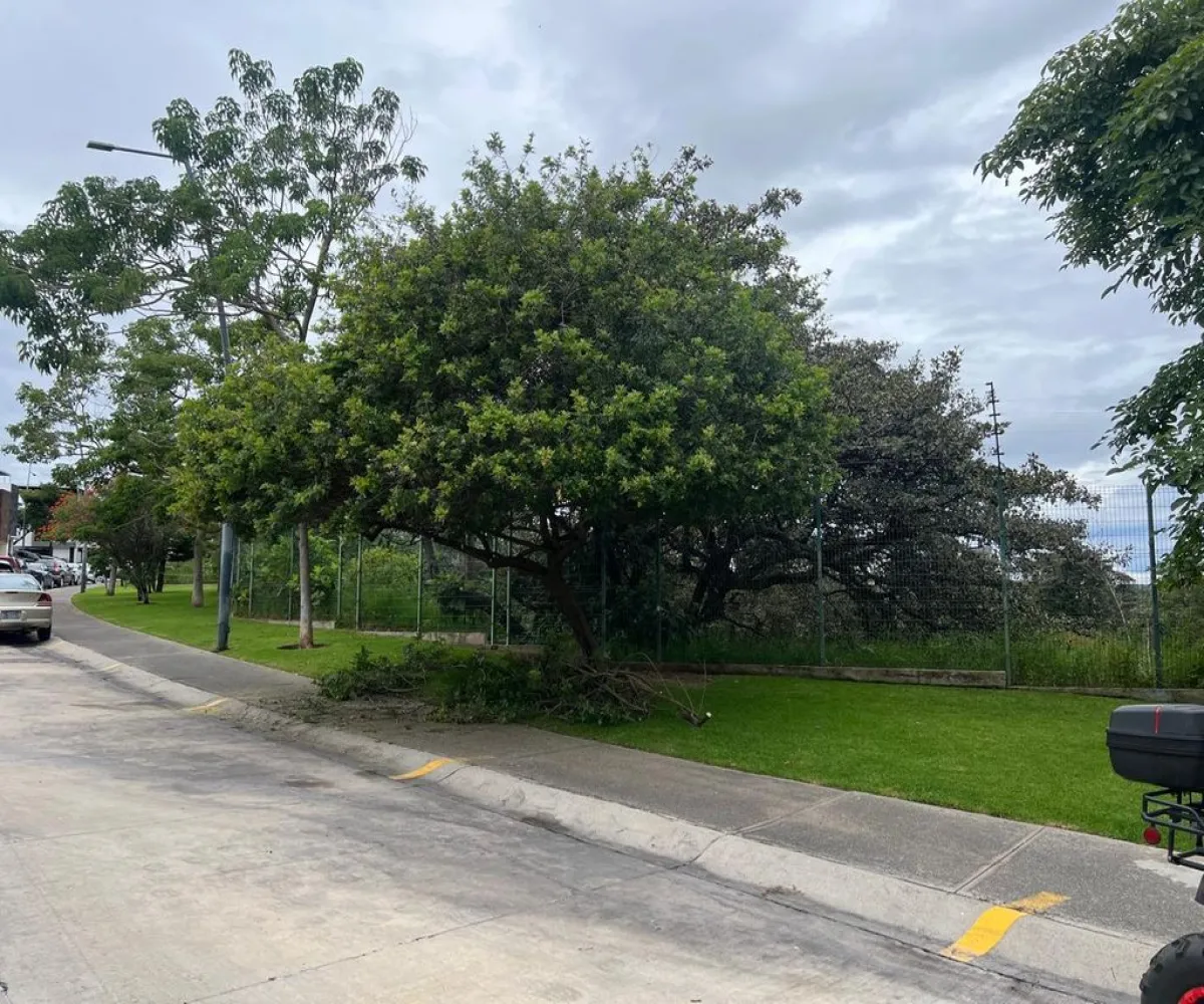 Casa En Venta,Altavista Residencial,Altavista Poniente 272 63, Zapopan, Jalisco 45134, 3 Habitaciones,3 Baños,Altavista Poniente,1,puQM1cT