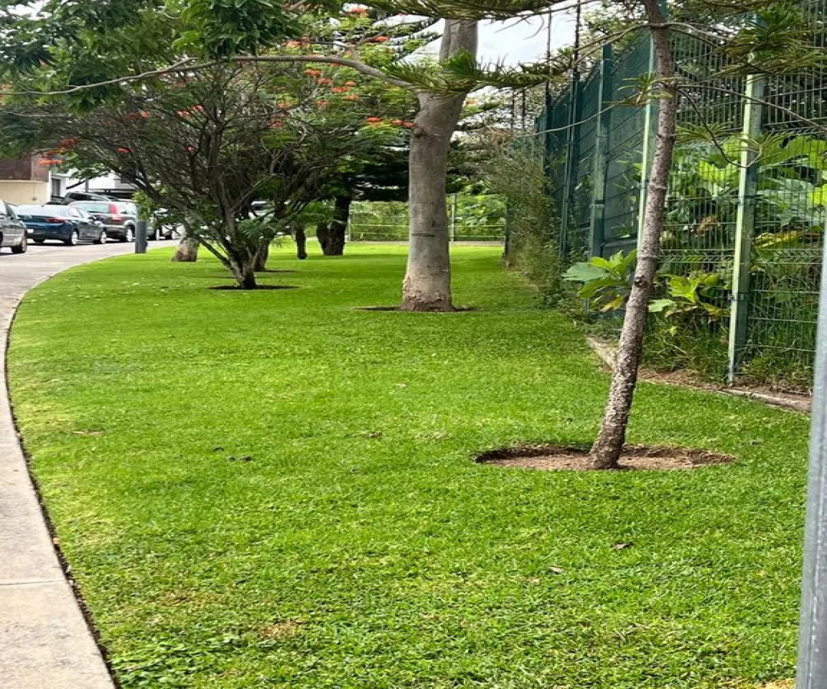 Casa En Venta,Altavista Residencial,Altavista Poniente 272 63, Zapopan, Jalisco 45134, 3 Habitaciones,3 Baños,Altavista Poniente,1,puQM1cT