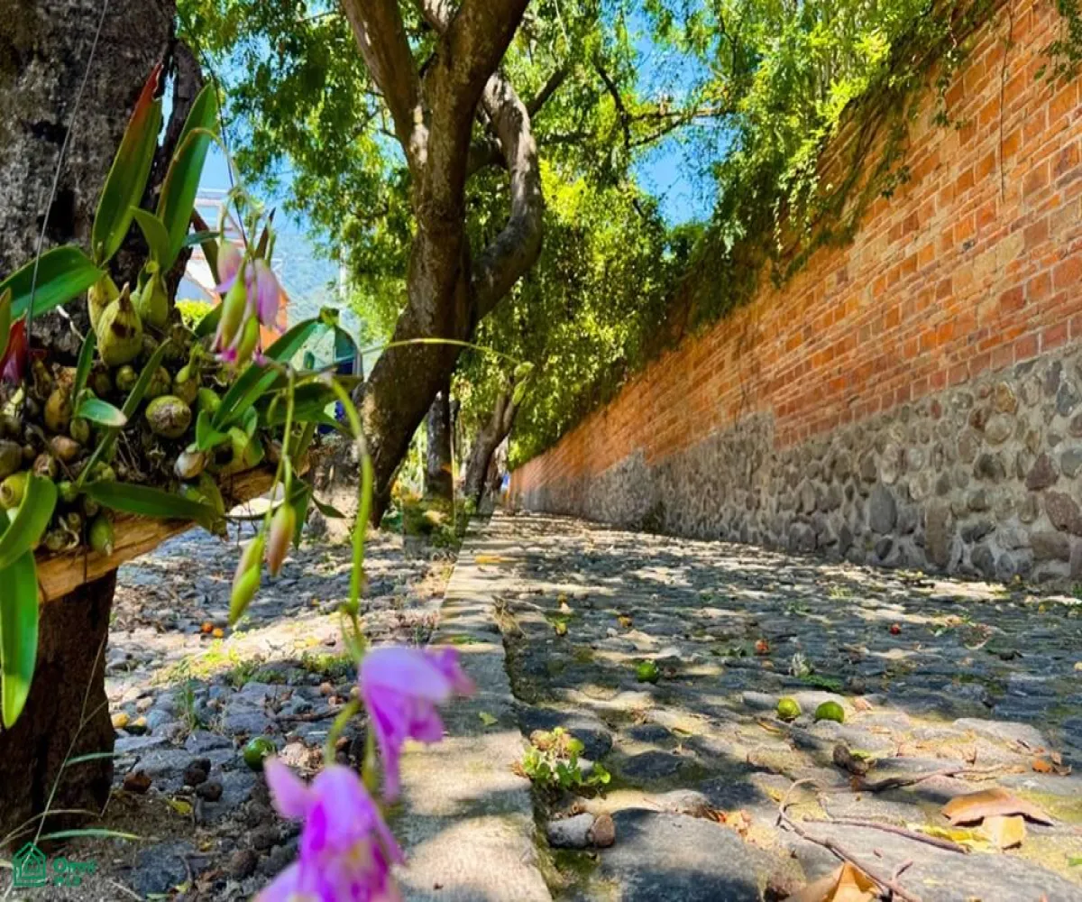 Terreno En Venta,Ajijic Centro,Rio Lerma S/N, Chapala, Jalisco 45920,Rio Lerma,MX251025834