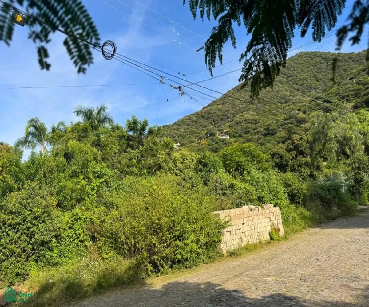 Terreno En Venta,Ajijic Centro,Rio Lerma S/N, Chapala, Jalisco 45920,Rio Lerma,MX251025834