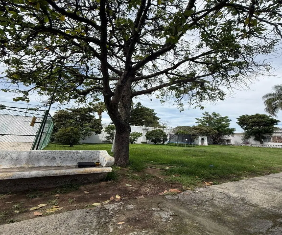 Terreno En Renta,Granja,Calzada Central 16, Zapopan, Jalisco 45010,Calzada Central,p4UYDBr