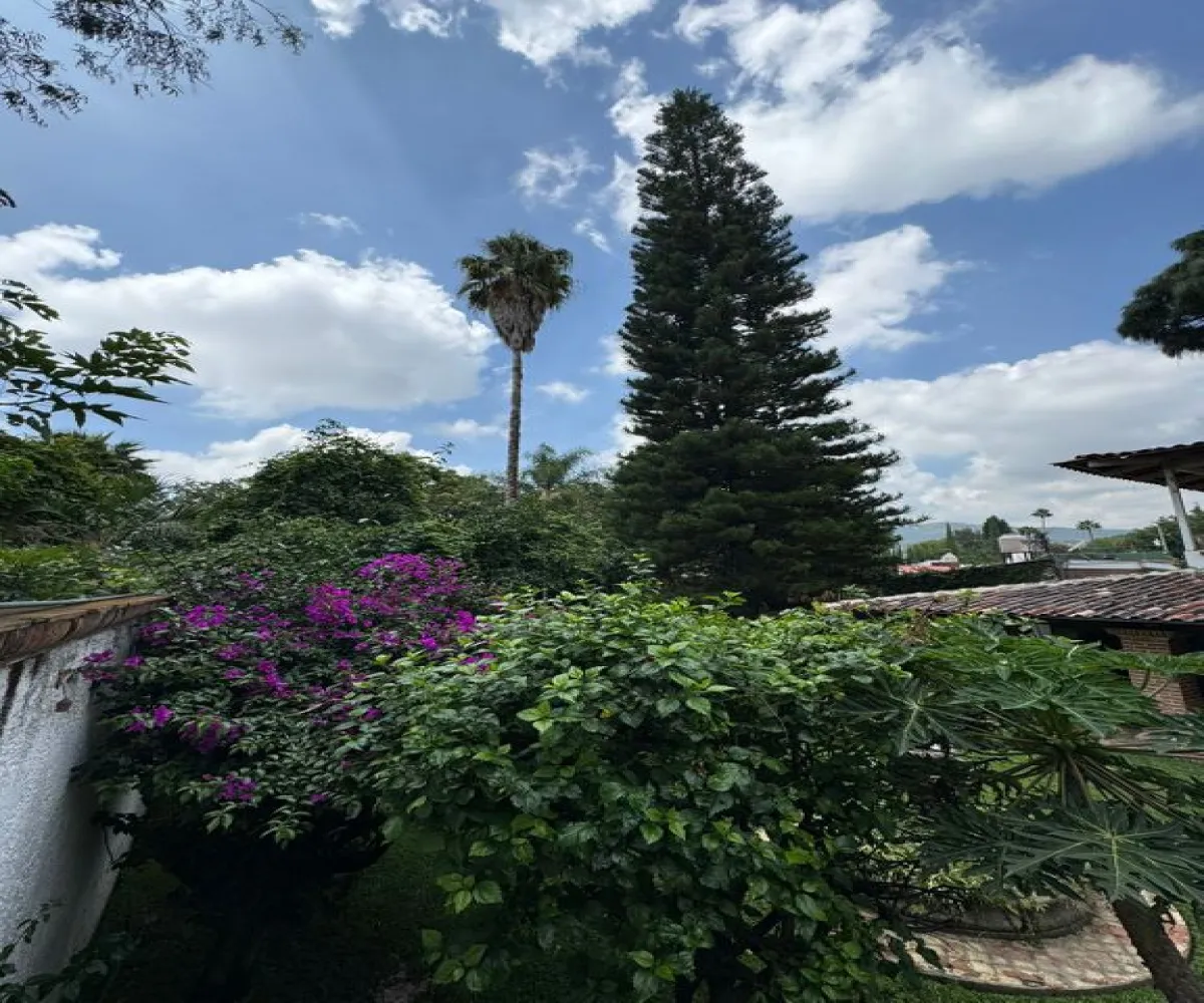 Terreno En Venta,Fracc Los Pinos,Avenida Compositores 4699, Zapopan, Jalisco 45239,Avenida Compositores,pOgWIWh