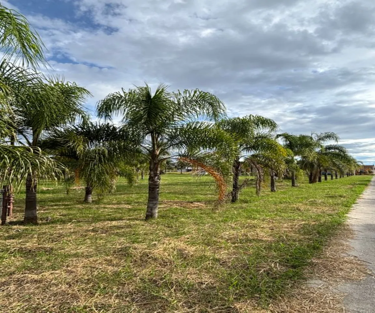 Terreno En Venta,Los Jazmines,Jazmín 21, Ocotlán, Jalisco 47800,Jazmín ,p9WhpSs