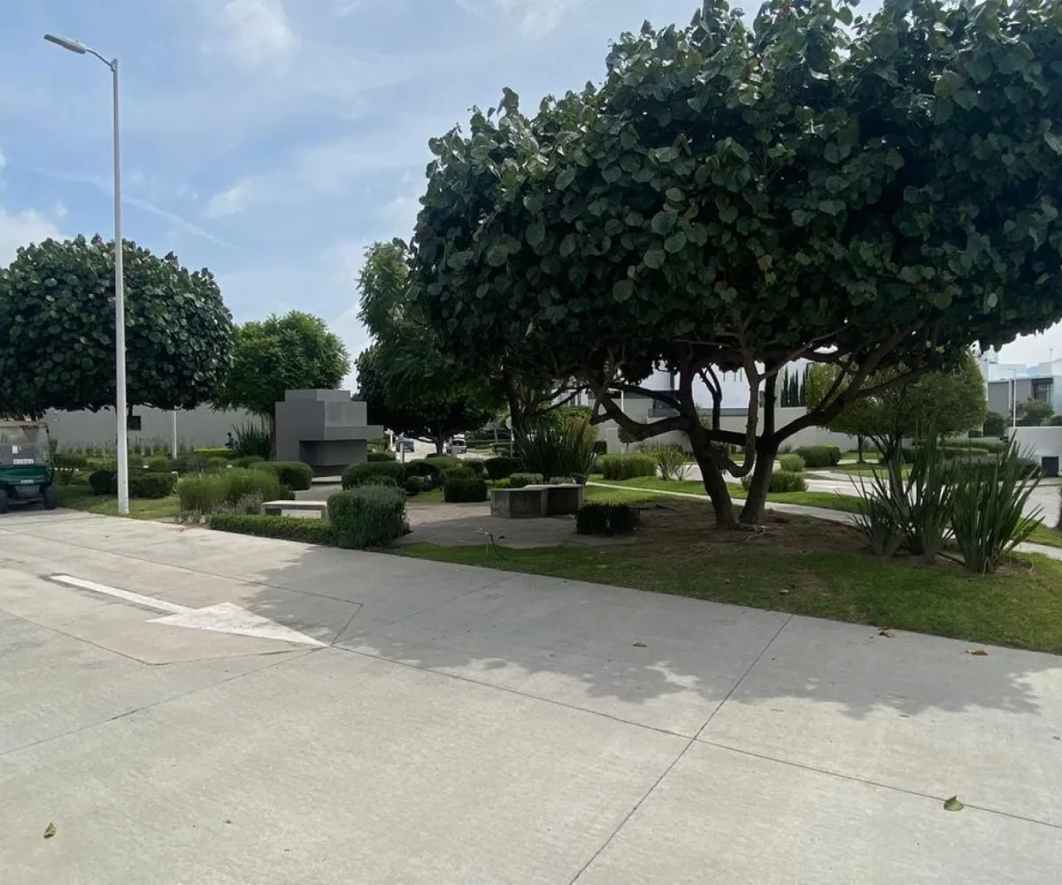 Terreno En Venta,Paraje,Avenida Vuelo de las Grullas 200 119, Tlajomulco de Zúñiga, Jalisco 45645,Avenida Vuelo de las Grullas,pyFaatA