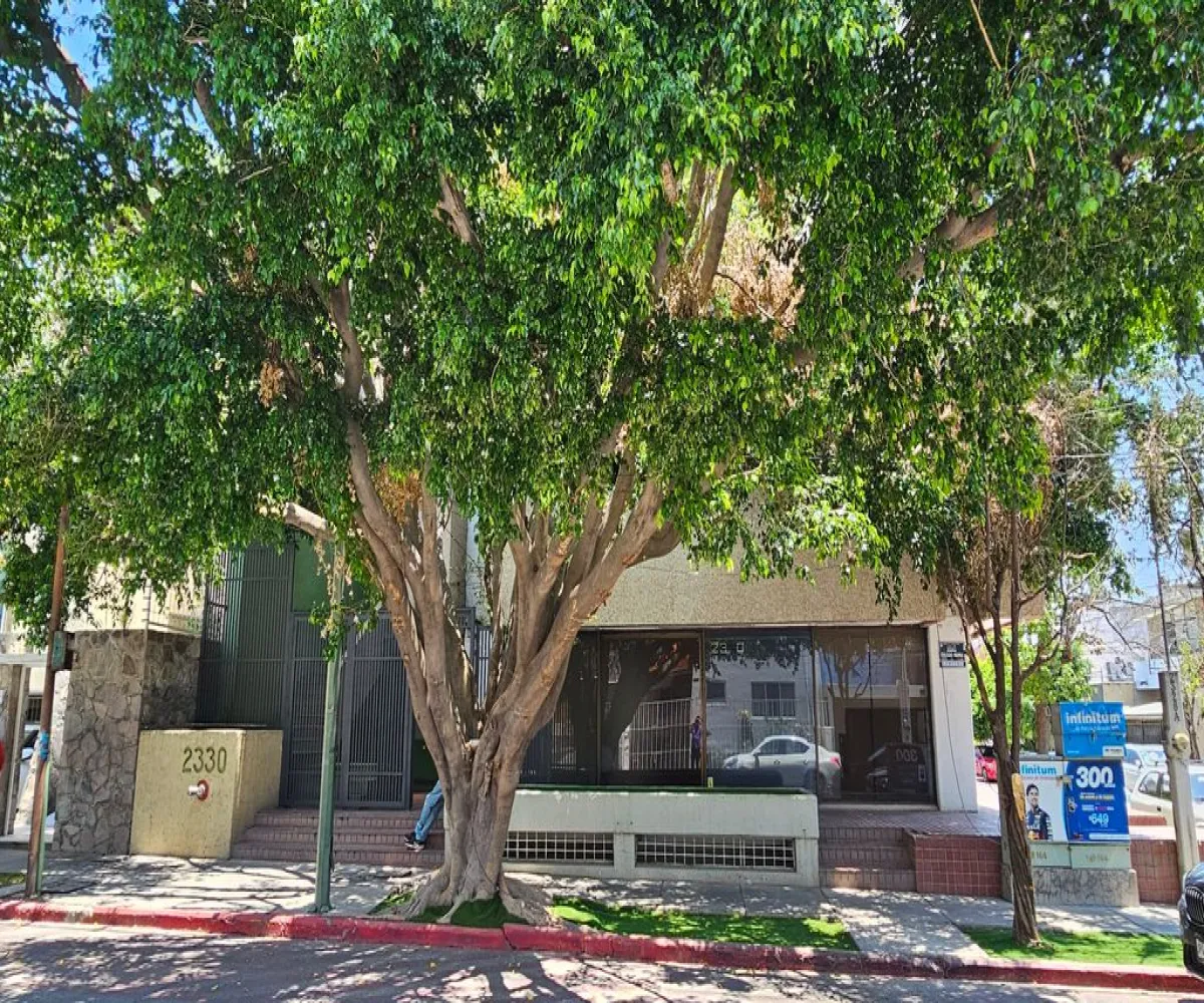 Oficina En Venta,Ladron De Guevara,Calle General Eulogio Parra 2330, Guadalajara, Jalisco 44600,Calle General Eulogio Parra,1,pt8c4E7