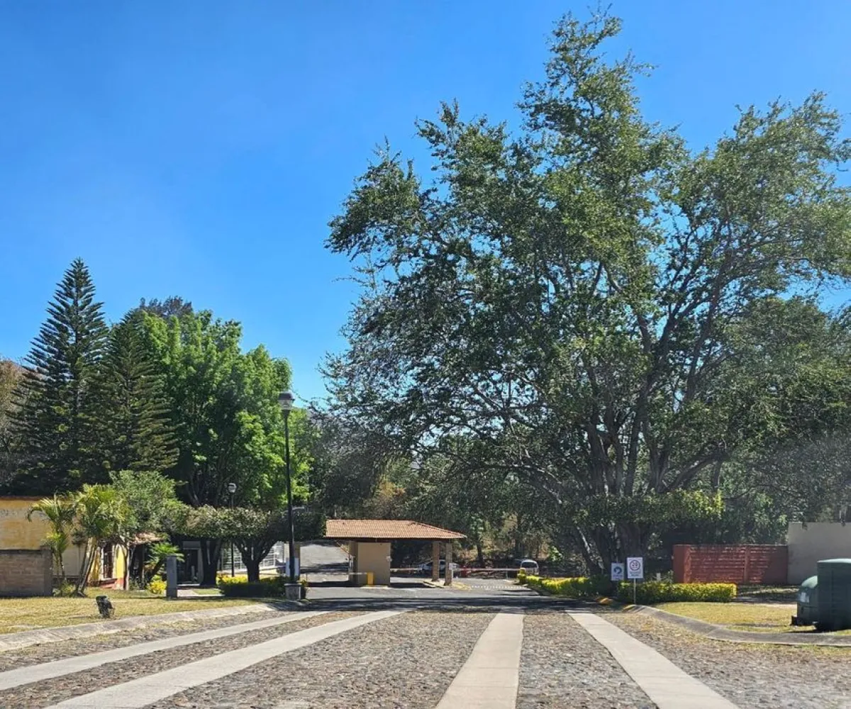 Terreno En Venta,Colinas de Santa Anita,Paseo de la Alameda 150, Tlajomulco de Zúñiga, Jalisco 45640,Paseo de la Alameda,ptqxvXk