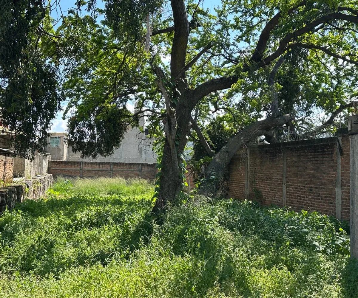 Terreno En Venta,Lomas de San Miguel,Acueducto 52, San Pedro Tlaquepaque, Jalisco 45589,Acueducto,pCiHxDN