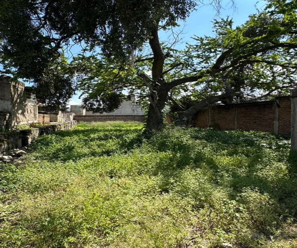 Terreno En Venta,Lomas de San Miguel,Acueducto 52, San Pedro Tlaquepaque, Jalisco 45589,Acueducto,pCiHxDN