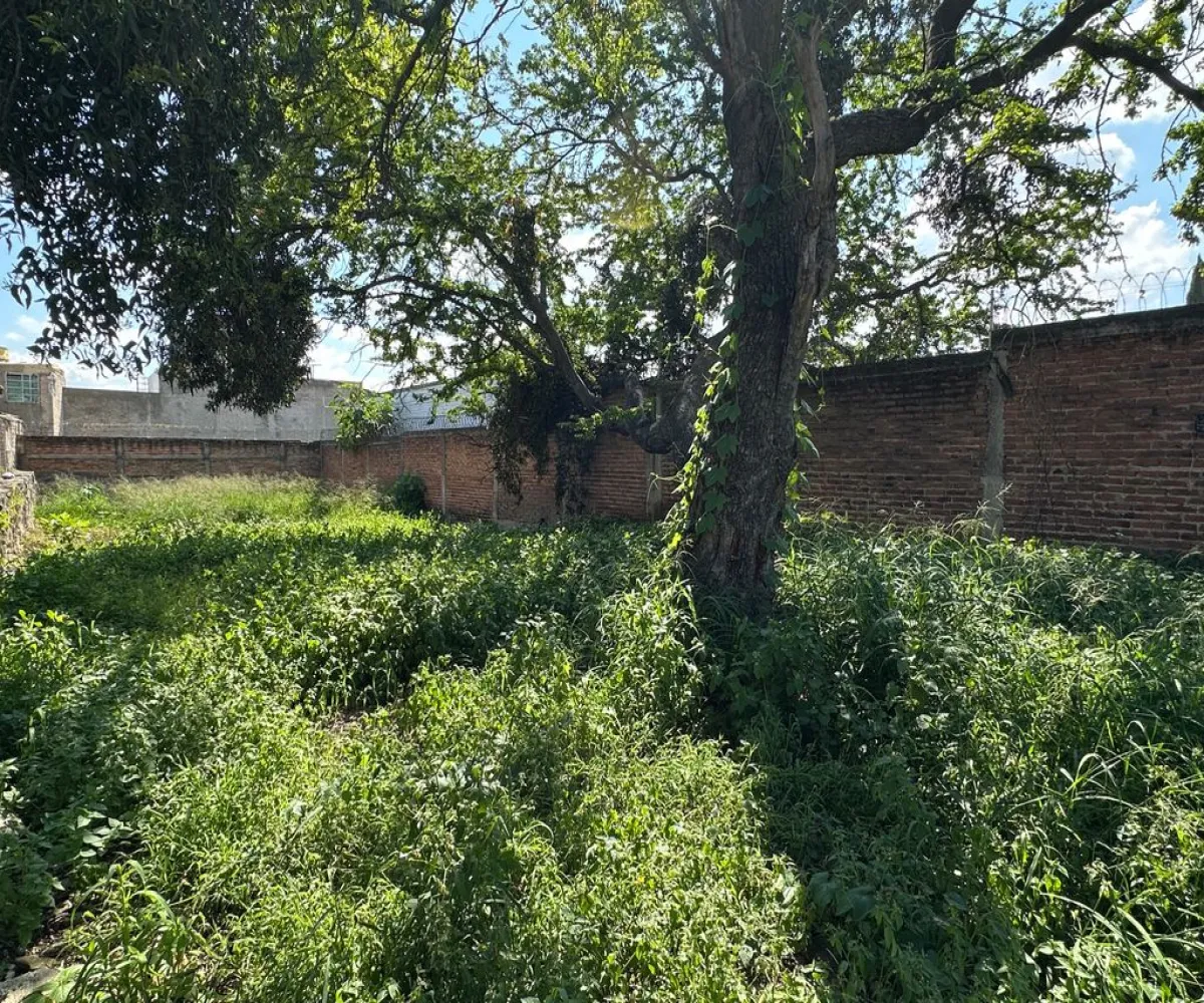 Terreno En Venta,Lomas de San Miguel,Acueducto 52, San Pedro Tlaquepaque, Jalisco 45589,Acueducto,pCiHxDN