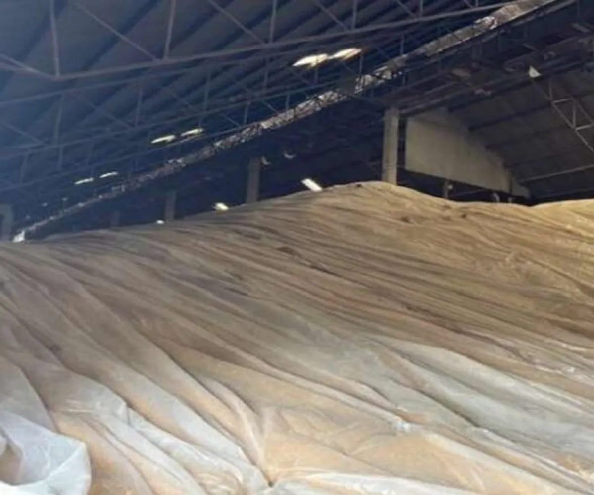 Terreno En Venta,Ranchería La Yerbabuena,Huerta camichines S/N, Tamazula de Gordiano, Jalisco 49650,Huerta camichines,pbGqIDP