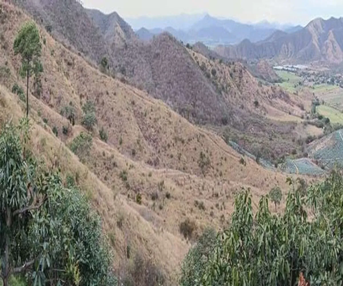 Terreno En Venta,Ranchería La Yerbabuena,Huerta camichines S/N, Tamazula de Gordiano, Jalisco 49650,Huerta camichines,pbGqIDP