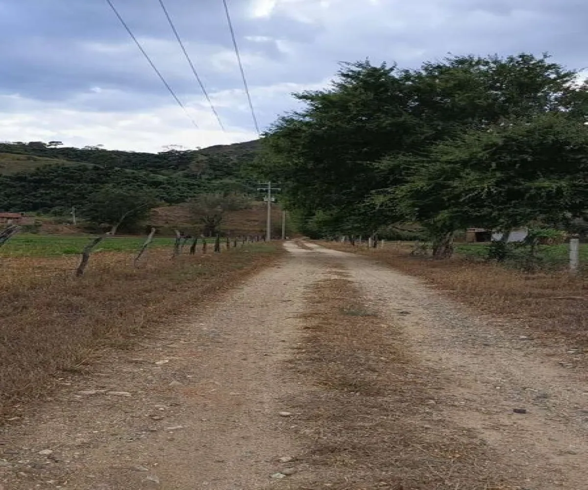 Terreno En Venta,Ranchería La Yerbabuena,Huerta camichines S/N, Tamazula de Gordiano, Jalisco 49650,Huerta camichines,pbGqIDP