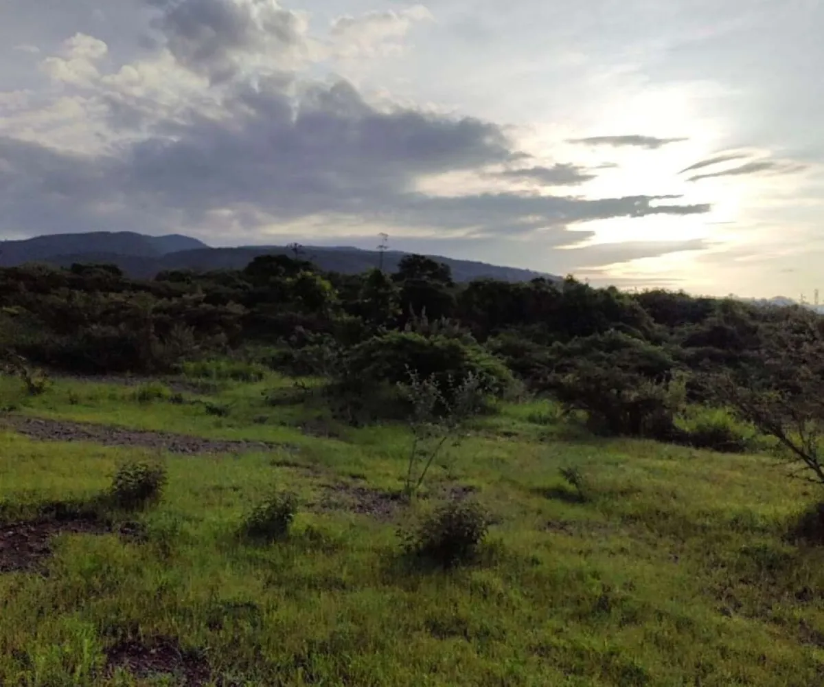 Terreno En Venta,San Isidro Mazatepec,Rancho en San Isidro Mazatepec S/N, Tala, Jalisco 45340,Rancho en San Isidro Mazatepec,pmAECi6