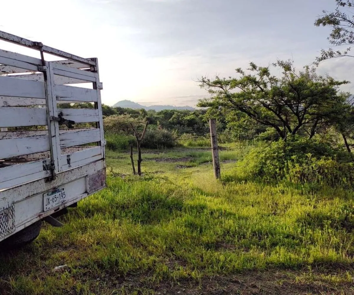 Terreno En Venta,San Isidro Mazatepec,Rancho en San Isidro Mazatepec S/N, Tala, Jalisco 45340,Rancho en San Isidro Mazatepec,pmAECi6