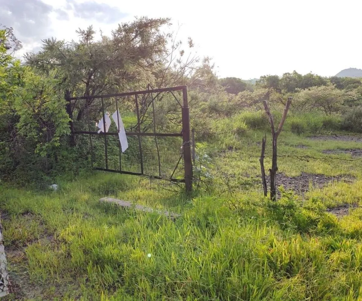 Terreno En Venta,San Isidro Mazatepec,Rancho en San Isidro Mazatepec S/N, Tala, Jalisco 45340,Rancho en San Isidro Mazatepec,pmAECi6