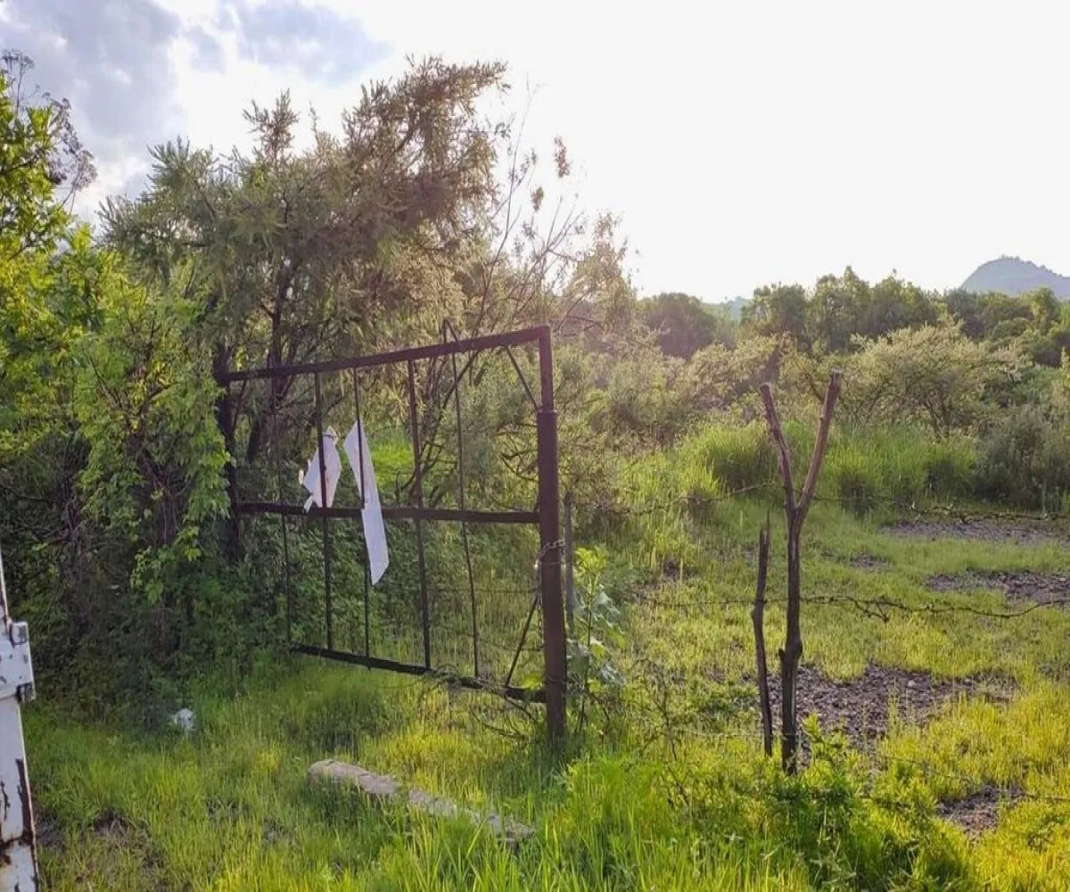 Terreno En Venta,San Isidro Mazatepec,Rancho en San Isidro Mazatepec S/N, Tala, Jalisco 45340,Rancho en San Isidro Mazatepec,pmAECi6