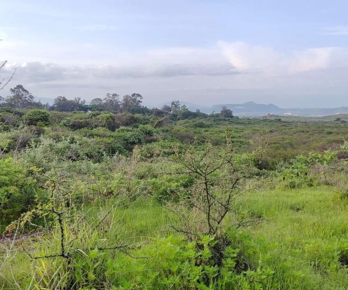 Terreno En Venta,San Isidro Mazatepec,Rancho en San Isidro Mazatepec S/N, Tala, Jalisco 45340,Rancho en San Isidro Mazatepec,pmAECi6