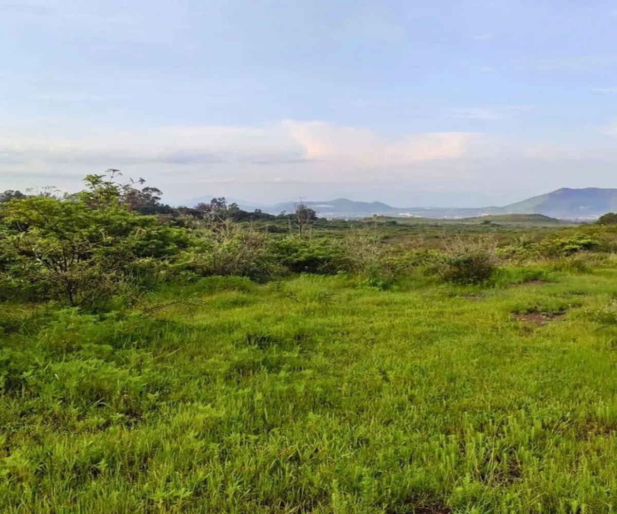 Terreno En Venta,San Isidro Mazatepec,Rancho en San Isidro Mazatepec S/N, Tala, Jalisco 45340,Rancho en San Isidro Mazatepec,pmAECi6