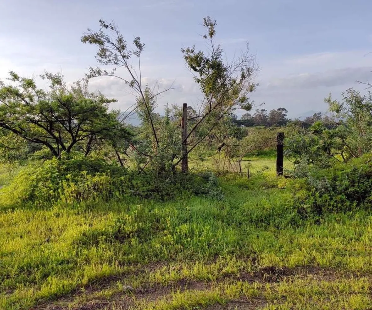 Terreno En Venta,San Isidro Mazatepec,Rancho en San Isidro Mazatepec S/N, Tala, Jalisco 45340,Rancho en San Isidro Mazatepec,pmAECi6