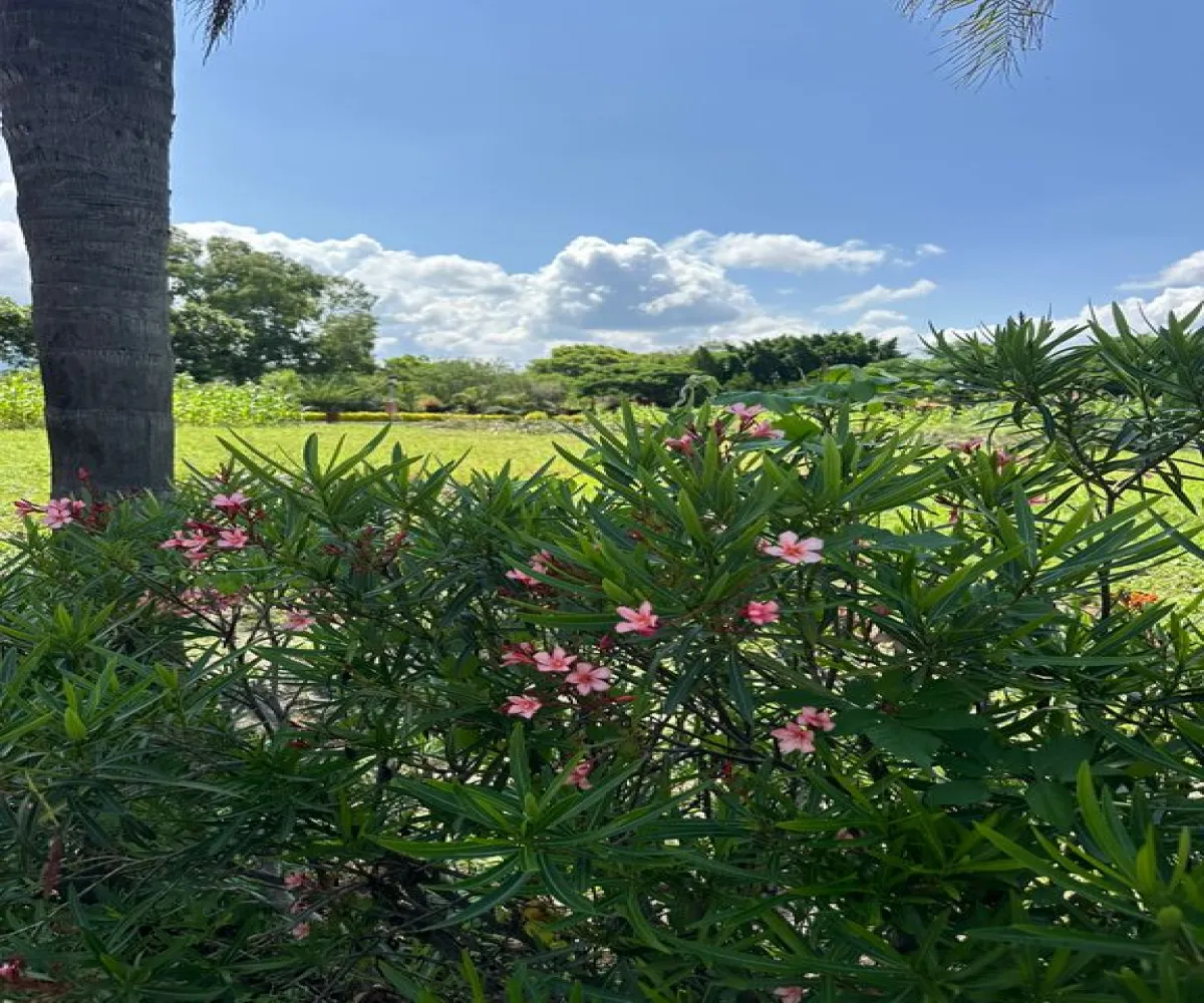 En Venta,San Juan Evangelista,Carr. San Juan Evangelista S/N, Tlajomulco de Zúñiga, Jalisco 45665, 5 Habitaciones,2 Baños,Carr. San Juan Evangelista,1,pRA26To